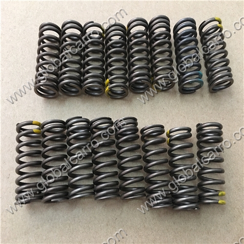 24530499 Chevrolet New Sail Valve Spring